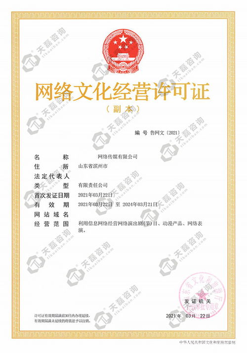 探索互聯(lián)網(wǎng)文化活動 新媒介時代的文化實踐與思考